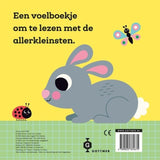 Boek | Dit kleine konijntje
