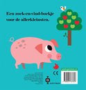 Boek | Flapjes Boek Kip waar ben je?
