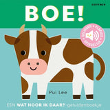 Boek | Wat hoor ik daar? Boe