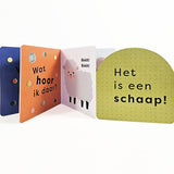 Boek | Wat hoor ik daar? Boe
