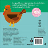 Boek | Wat hoor ik daar? Boe