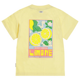 Tumble’N Dry | Lemons | Lemon merengue