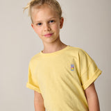 Tumble’N Dry | Lemons | Lemon merengue