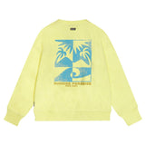 Tumble’ N Dry | Mediterranean | Limelight