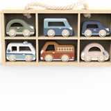 Speedy Monkey | Auto Display Case