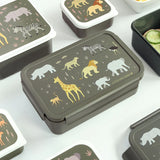 Little Lovely Company | Bento Lunch Box | Savanne
