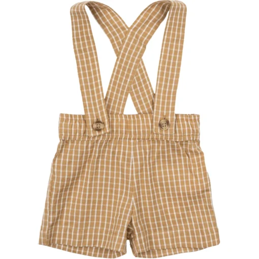 The New | Norville Shorts | Apple Cinnamon Check